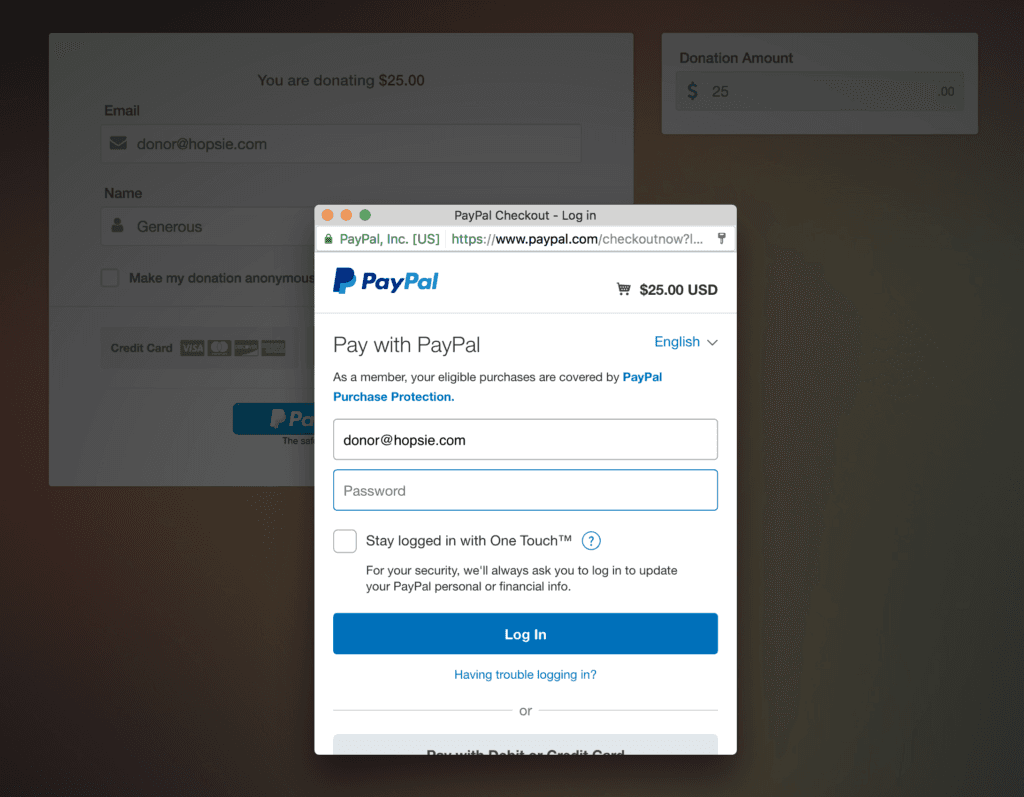 PayPal Donation Step 3