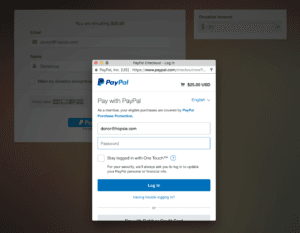 PayPal Donation Step 3
